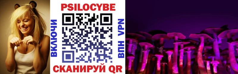 закладка  Обь  Галлюциногенные грибы Psilocybe 